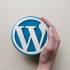 Free Essential WordPress Plugin for Affiliate Niche Website