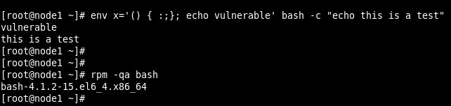 Bash Vulnerability test 1