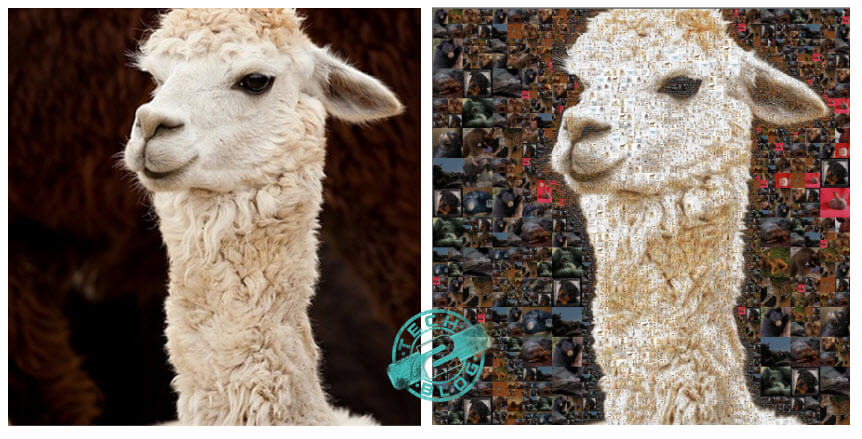 Camel Mosaic Photo collage