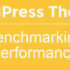 Infographics - WordPress Themes Performance