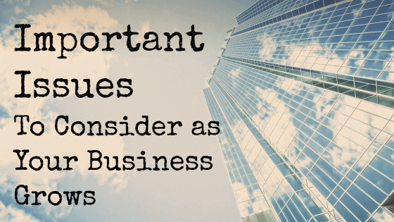 Important Issues to Consider as Your Business Grows