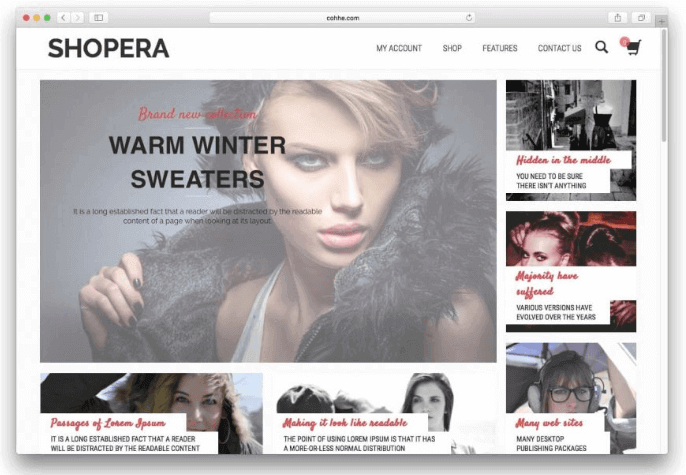 WordPress Theme Shopera