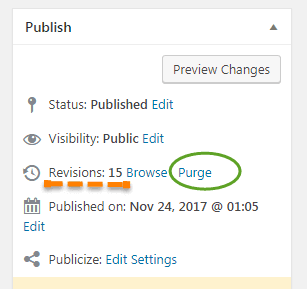 Deleting WordPress Revisions