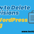 How to Delete Revisions in WordPress Blog