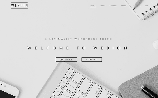 Webion - Minmalist WordPress Theme