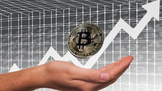 Bitcoin halving affect on BTC price