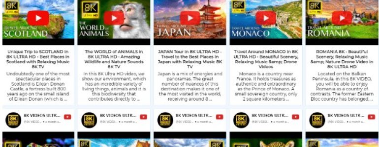 Most Manageable Ways To Embed YouTube Channel & Playlist On Your Business Website 1 YouTube channel embed
