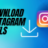 Instagram Reels Video Downloader