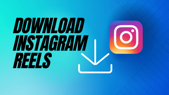 Instagram Reels Video Downloader