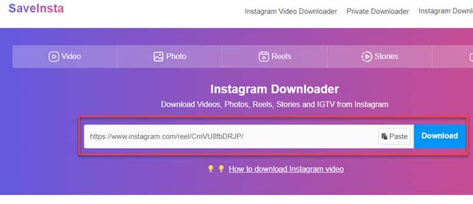 Instagram reels download method 2 - paste URL