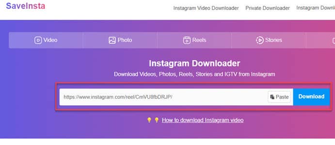 Instagram reels download method 2 - paste URL Instagram reels download method 2 - paste URL