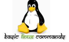 11 Basic Linux Commands Which I Use Everyday 2 11 Basic Linux Commands Which I Use Everyday