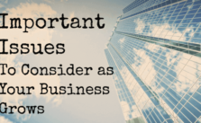 Important Issues to Consider as Your Business Grows 5 Important Issues to Consider as Your Business Grows