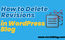 How to Delete Revisions in WordPress Blog 6 How to Delete Revisions in WordPress Blog