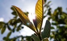 8 Practical Ways To Make Your Business Greener